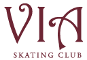 名古屋・一宮のフィギュアスケートクラブ VIA
